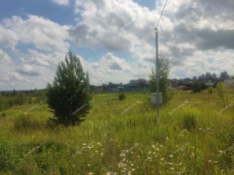 selo-efimevo-bogorodskiy-municipalnyy-okrug фото