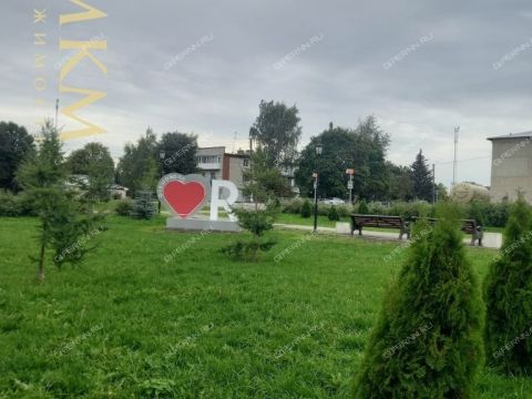 2-komnatnaya-derevnya-prokoshevo-kstovskiy-rayon фото
