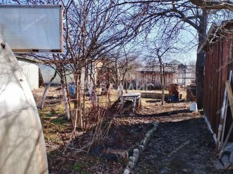 dacha-poselok-doskino-liniya-26-ya фото