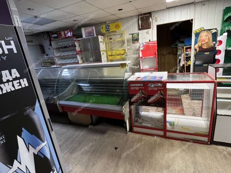 помещение под торговую площадь, недвижимость под общепит на Снежной улице