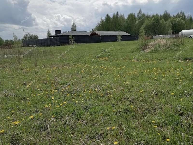 земельный участок 11,1 сотки Дружная село Большое Давыдово