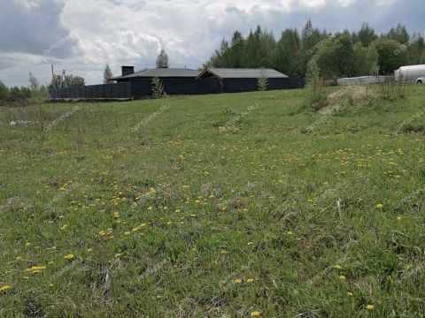 selo-bolshoe-davydovo-pavlovskiy-municipalnyy-okrug фото