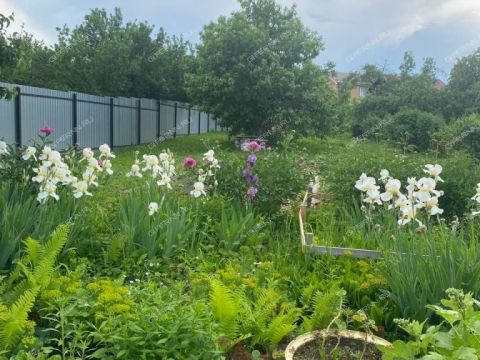 dom-derevnya-novopokrovskoe-novopokrovskoe-derevnya фото