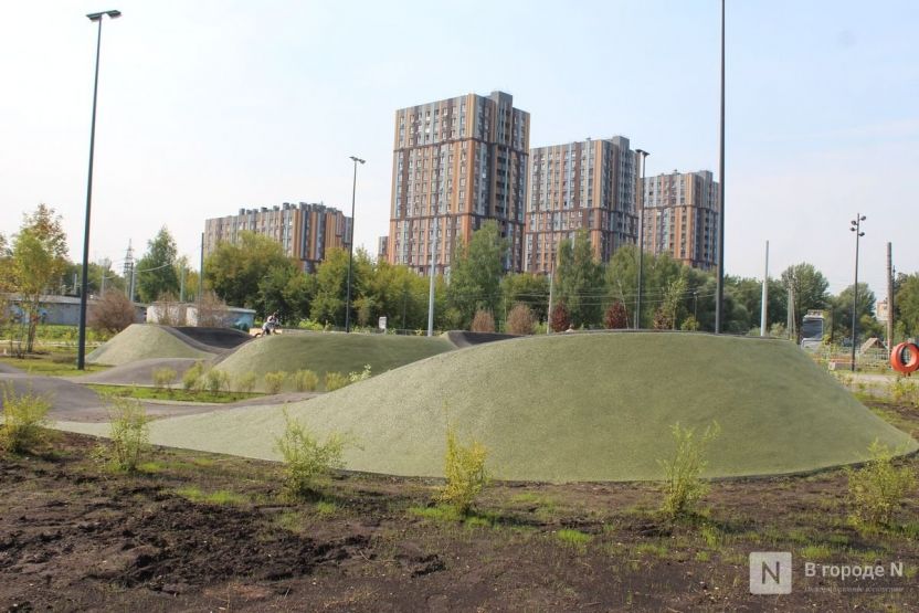 Фото: Надя Кей / vgoroden.ru