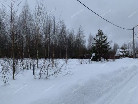 selo-arapovo-bogorodskiy-municipalnyy-okrug фото