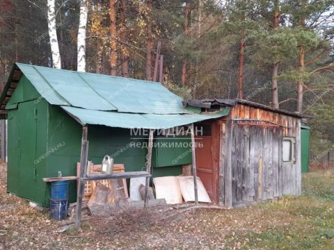 dacha-rabochiy-poselok-dalnee-konstantinovo-dalnekonstantinovskiy-rayon фото