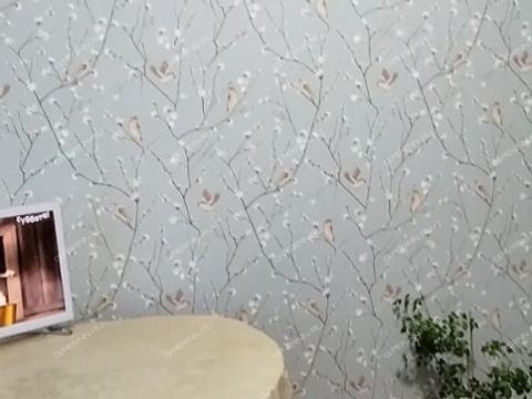 2-komnatnaya-gorod-kstovo-kstovskiy-rayon фото