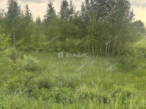 sherstnevo-gorodskoy-okrug-bor фото