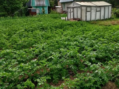 dom-pervomayskiy-balahninskiy-municipalnyy-okrug фото