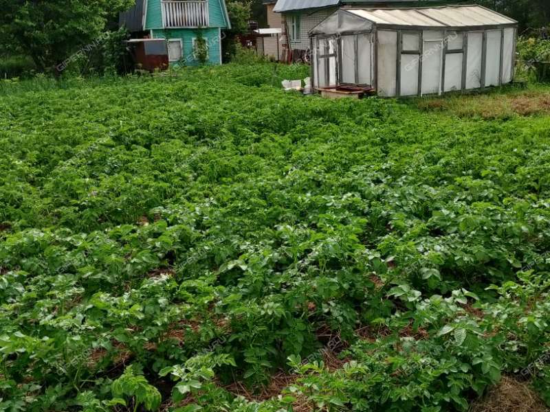 дом на  Первомайский