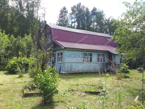 dacha-derevnya-molostovo-gorodskoy-okrug-bor фото