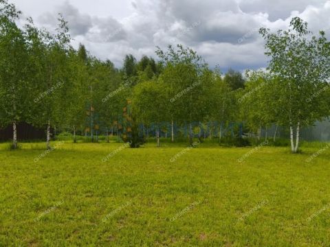 dom-derevnya-podyablonnoe-bogorodskiy-municipalnyy-okrug фото