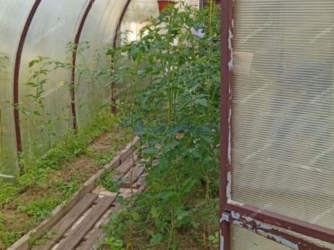 dacha-derevnya-kostino-gorodskoy-okrug-bor фото