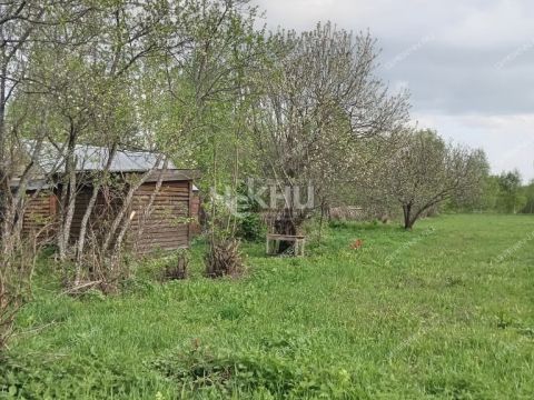 dacha-derevnya-mokeiha-gorodeckiy-rayon фото