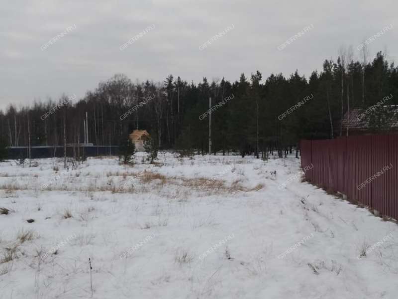 земельный участок 10,1 сотки Березовая пойма п