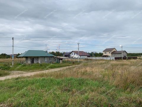 derevnya-prudy-bogorodskiy-municipalnyy-okrug фото