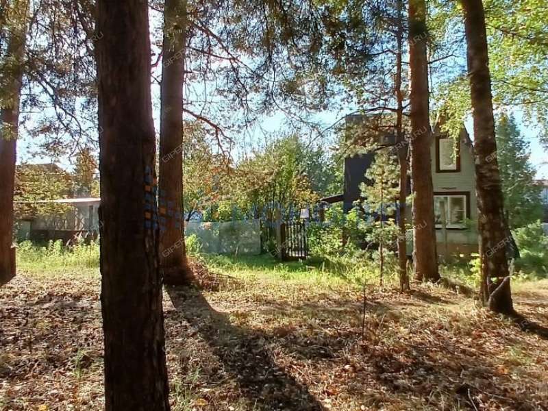 дача на СНТ Лазурь
