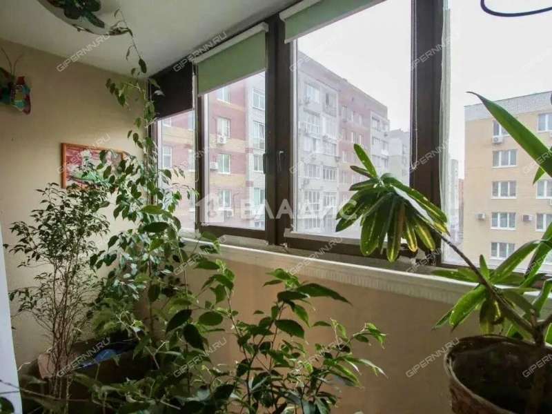 трёхкомнатная квартира на улице Невзоровых дом 85