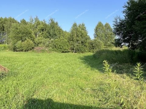 dacha-derevnya-ilinskoe-gorodskoy-okrug-bor фото
