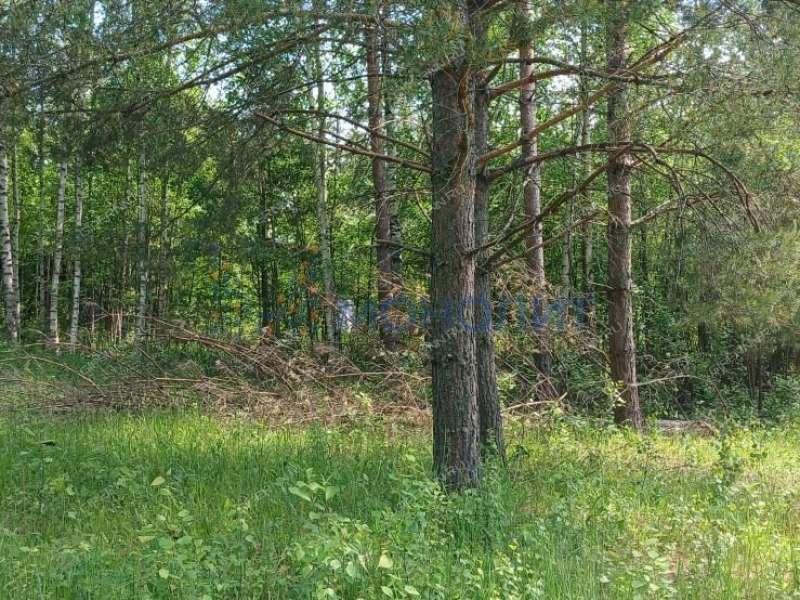 земельный участок 9,78 сотки - СНТ Родник-40