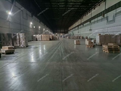 zayceva-ul-d-31 фото