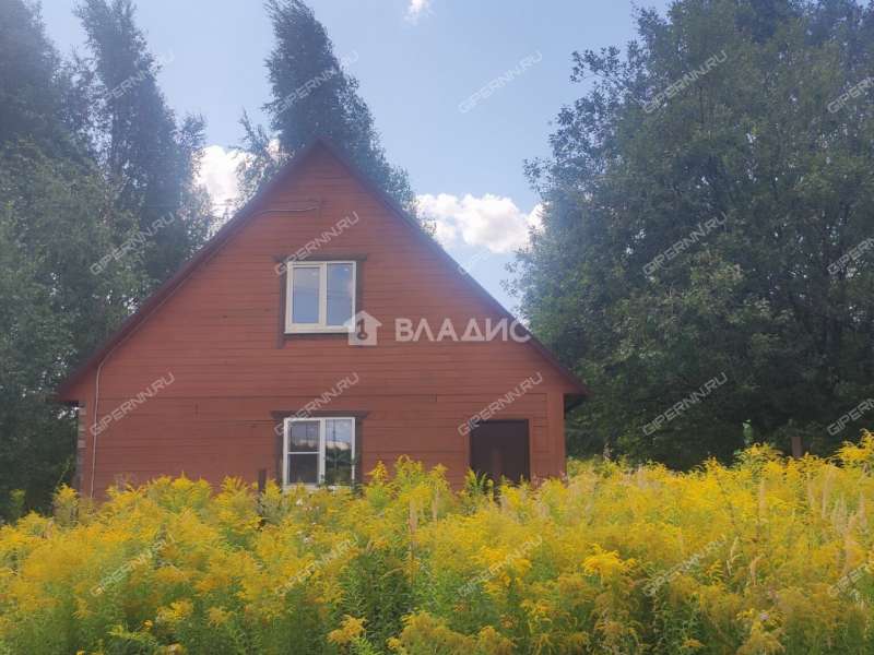 дом на улице Мира деревня Анкудиновка