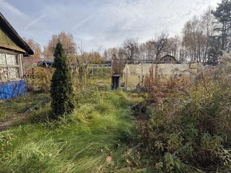 дача на - деревня Рекшино
