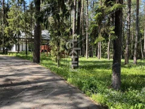 dom-derevnya-lindo-usad-gorodskoy-okrug-bor фото