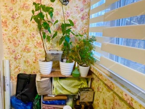 2-komnatnaya-ul-permyakova-d-46 фото