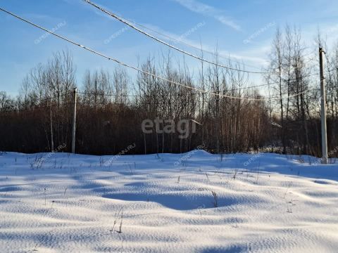 rabochiy-poselok-gorbatovka-gorodskoy-okrug-dzerzhinsk фото