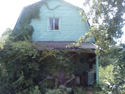 dacha-derevnya-shoniha-bogorodskiy-municipalnyy-okrug фото