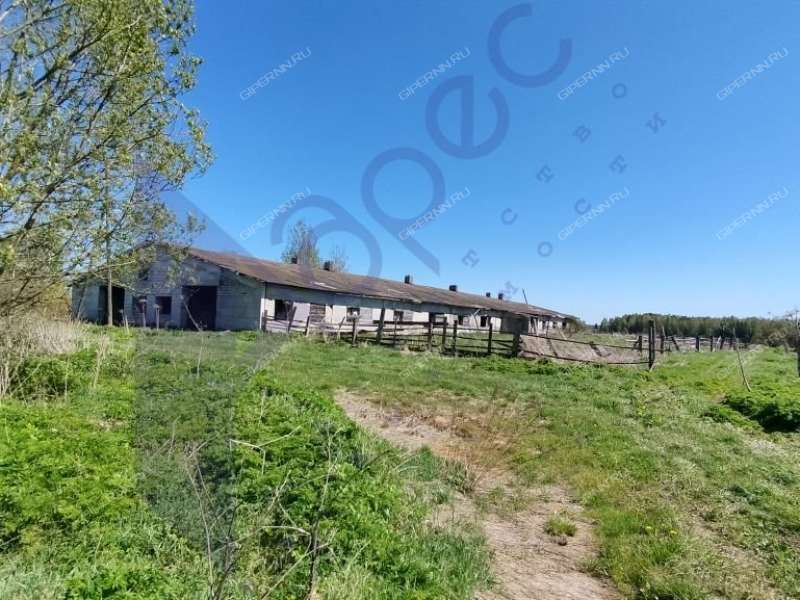 земельный участок под коммерческое использование в городском округе Сокольский Нижегородской области