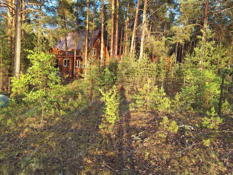 земельный участок под коммерческое использование в городском округе Сокольский Нижегородской области