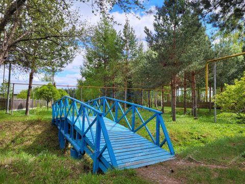 dom-derevnya-ionovka-bogorodskiy-municipalnyy-okrug фото