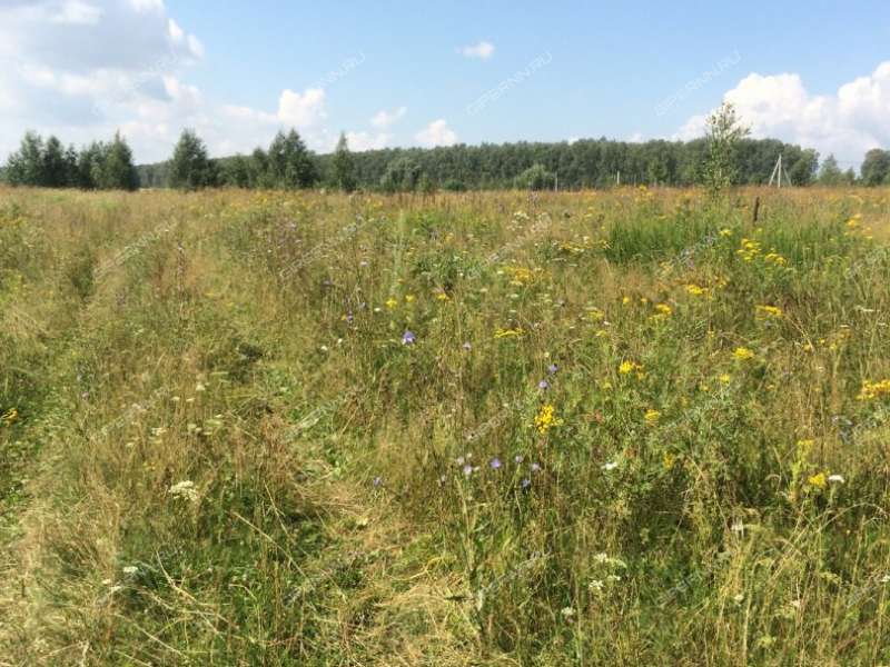 Купить Участок В Теряево Волоколамского Района