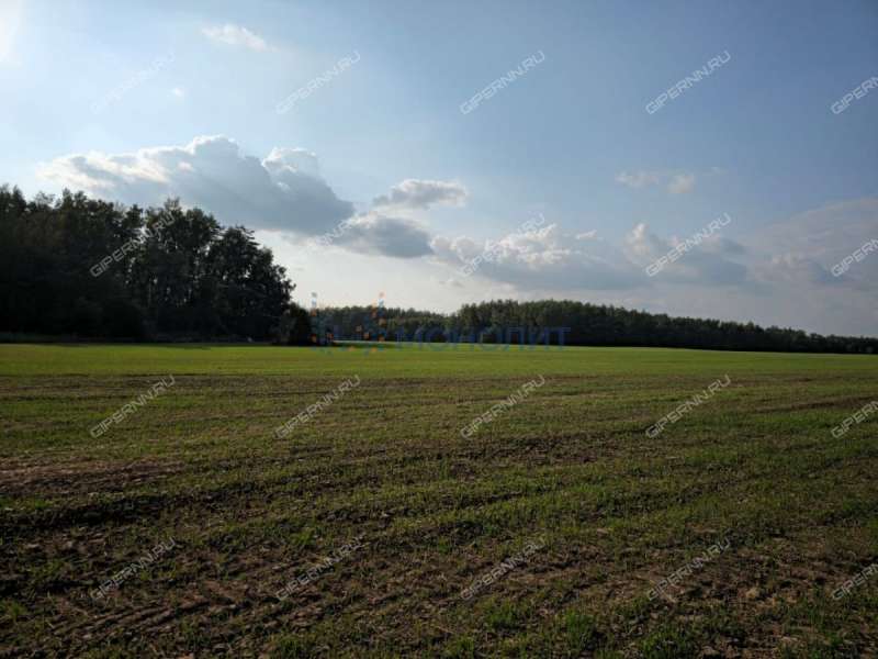 земельный участок под сельхоз назначение в Дальнеконстантиновском районе Нижегородской области