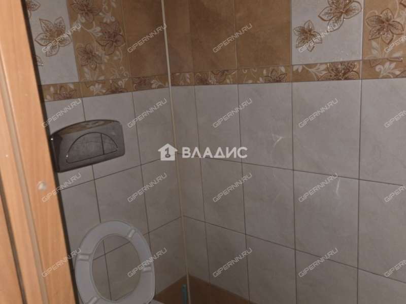 дом на Берёзовой улице село Великий Враг