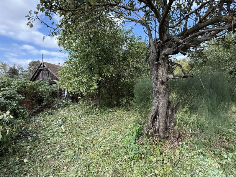 дом на улице Ленина город Ворсма