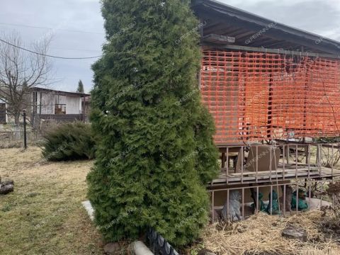 dacha-rabochiy-poselok-dalnee-konstantinovo-dalnekonstantinovskiy-rayon фото