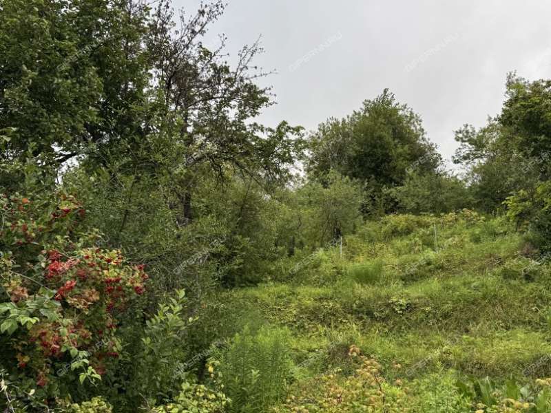 сад на Широтной улице