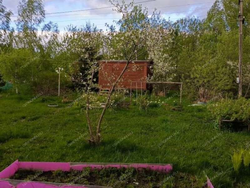 дача на СНТ Заря тер