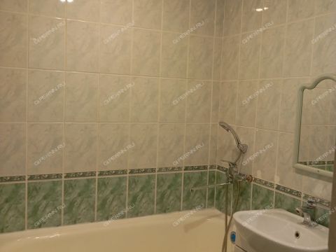 1-komnatnaya-prosp-busygina-d-49 фото