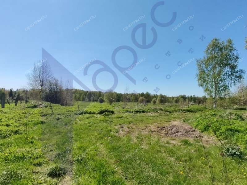 земельный участок под коммерческое использование в городском округе Сокольский Нижегородской области