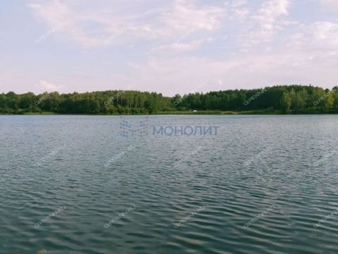 rabochiy-poselok-maloe-kozino-balahninskiy-municipalnyy-okrug фото