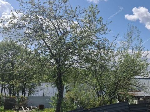 dom-derevnya-vanisovo-gorodskoy-okrug-chkalovsk фото