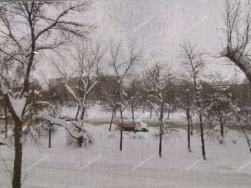 двухкомнатная квартира на улице 40 лет Октября дом 19 город Кстово