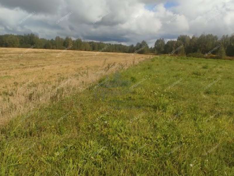 земельный участок 15 соток деревня Ткалино