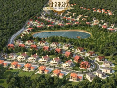 derevnya-knyazhevo-gorodskoy-okrug-bor фото