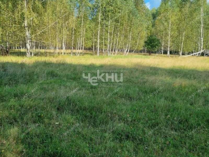 земельный участок 15 соток село Каменка