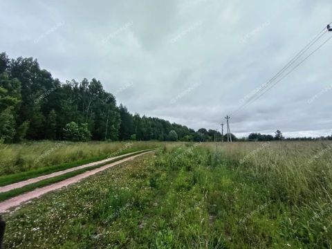 kp-bugrov-park-dalnekonstantinovskiy-rayon фото